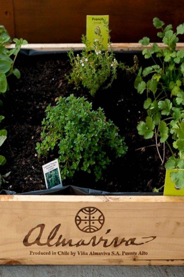 Herb Garden Design