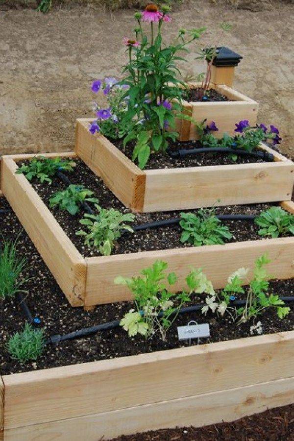 Simple Apartment Herb Garden Designs