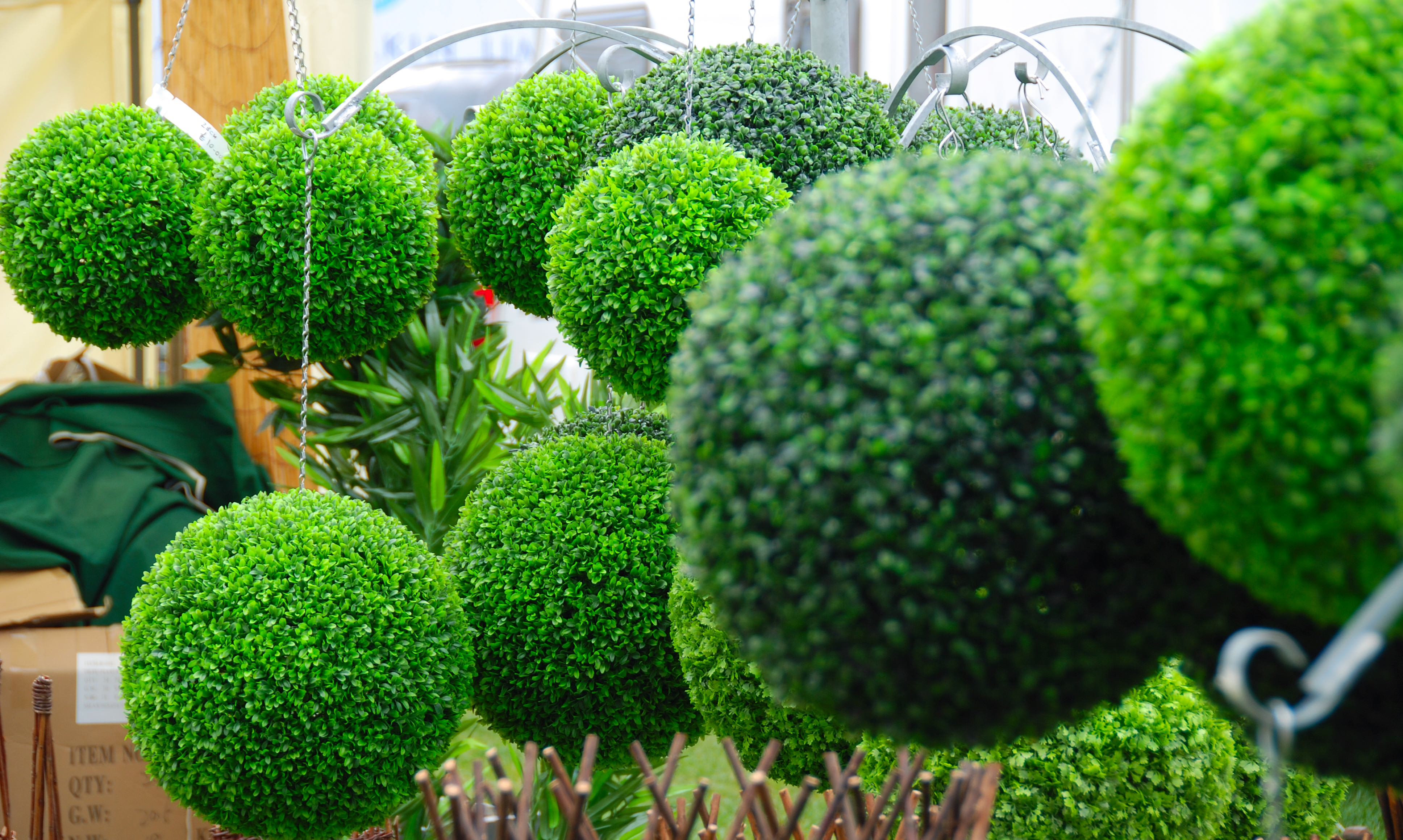 Genius Urban Gardening Ideas