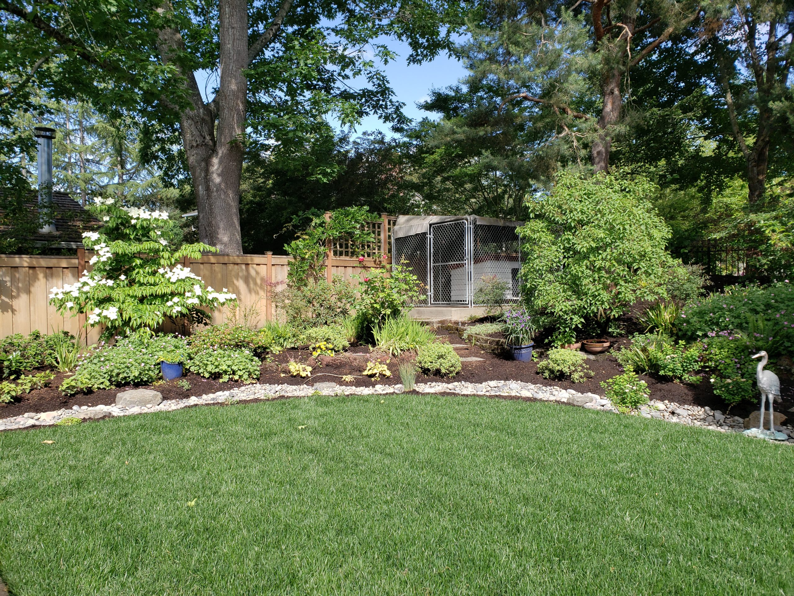 Yard Landscaping Ideas