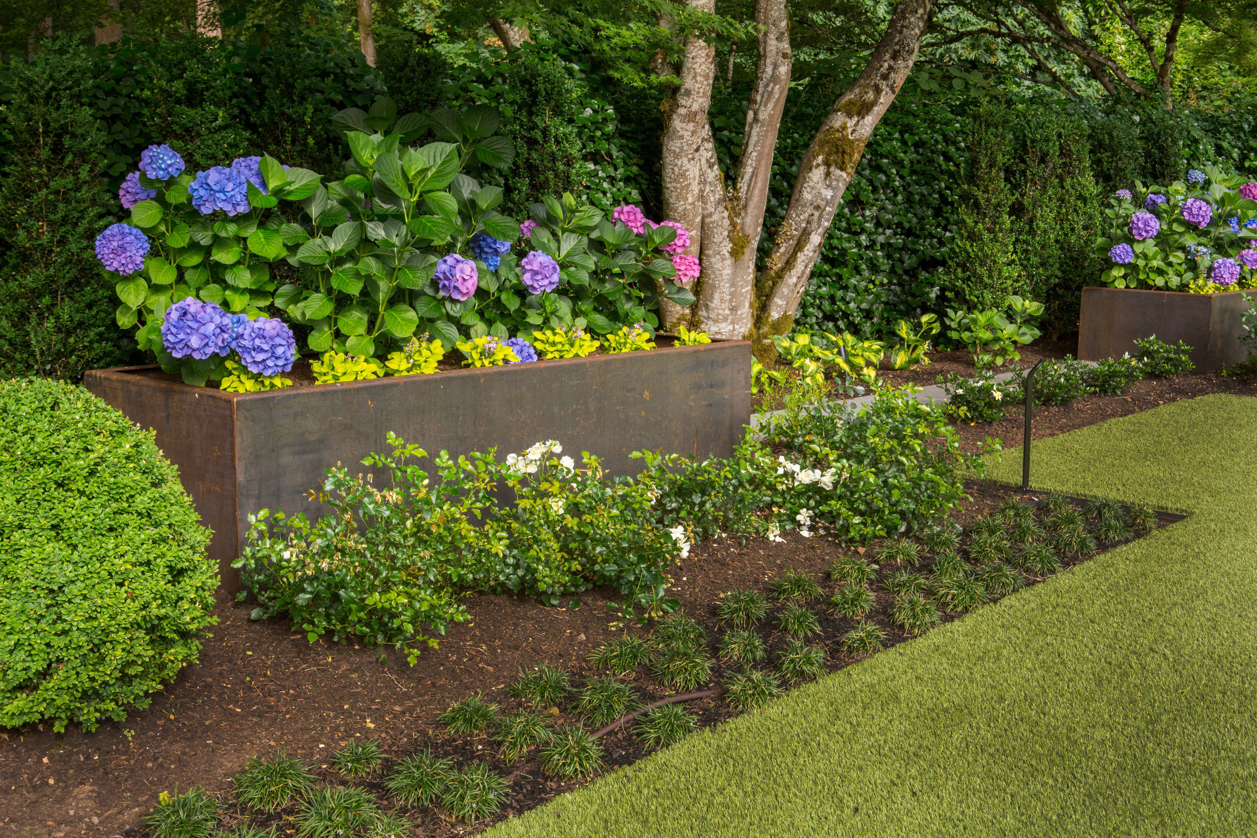 Softlandscapingdesignlandscapingplantingideasgreenonion