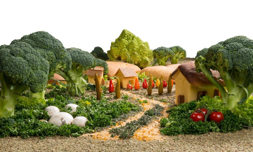 Sustainable Gardening Ideas