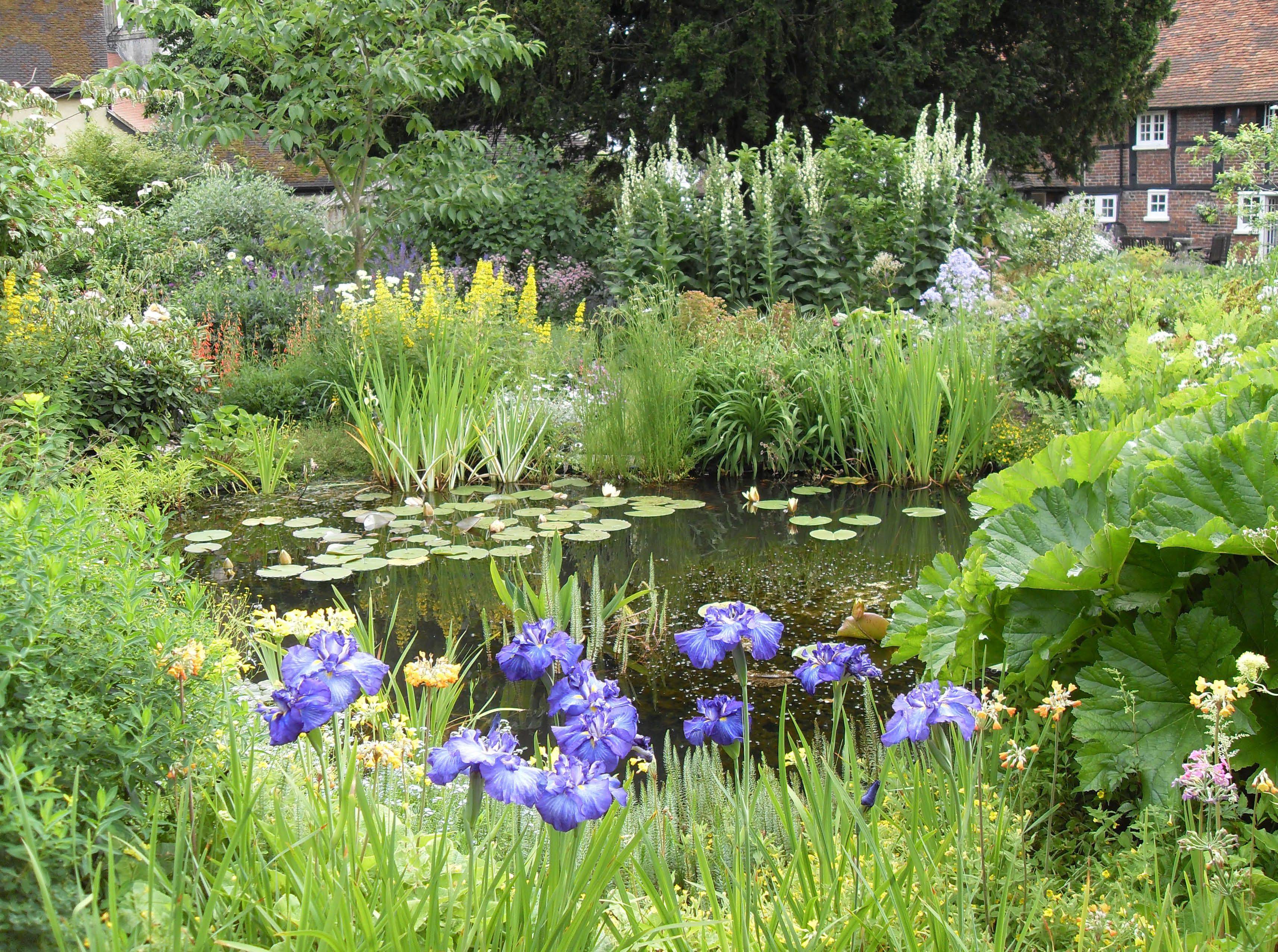 Bog Garden Planting Bog Garden