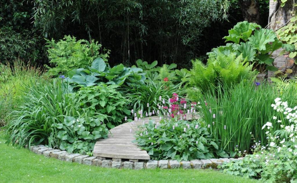 Interesting And Unusual Bog Garden