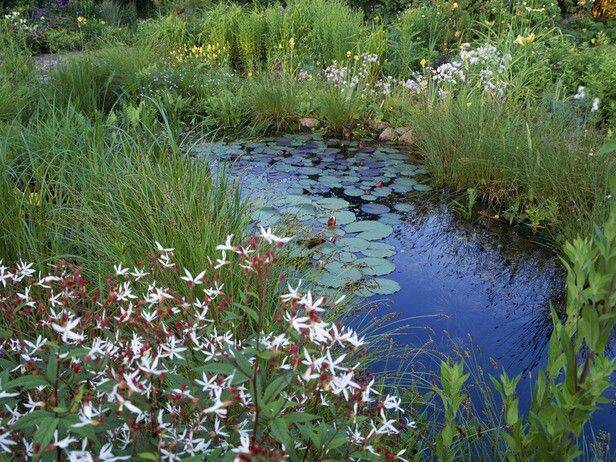 A Beautiful Garden Landscape