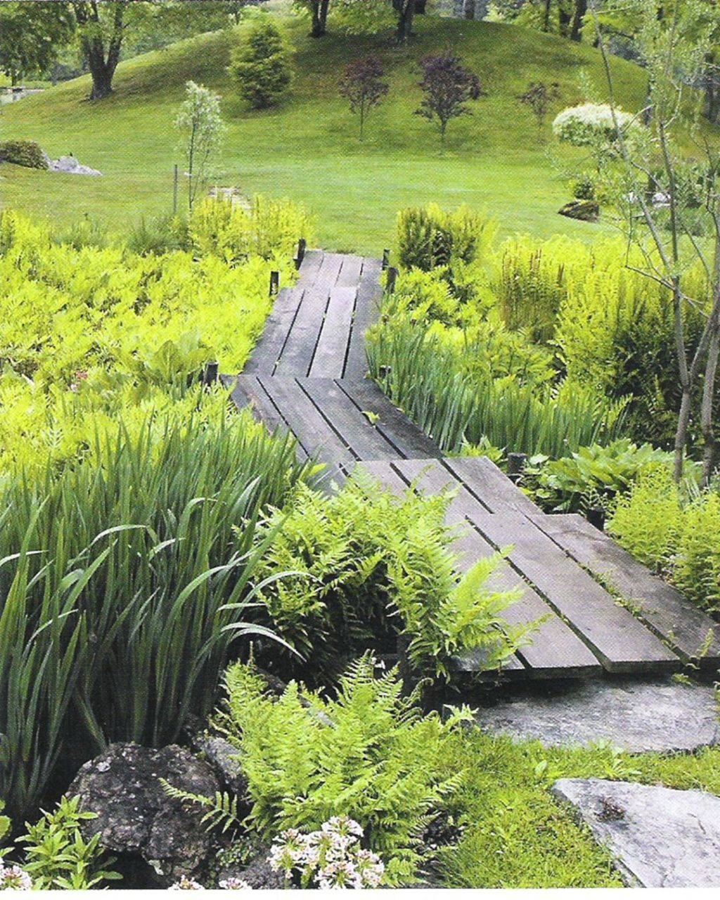 Lovely Wetland Garden Design Gallery Landscaping Ideas