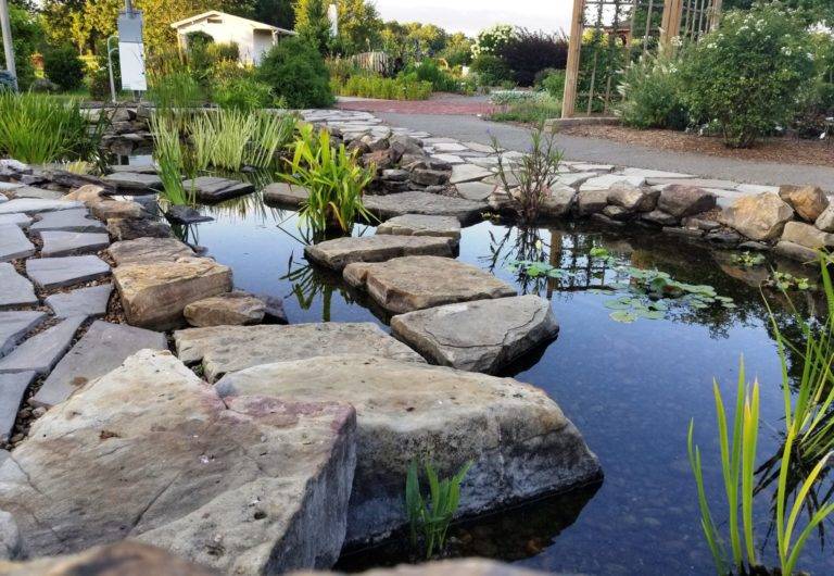 Home Landscaping Ideas
