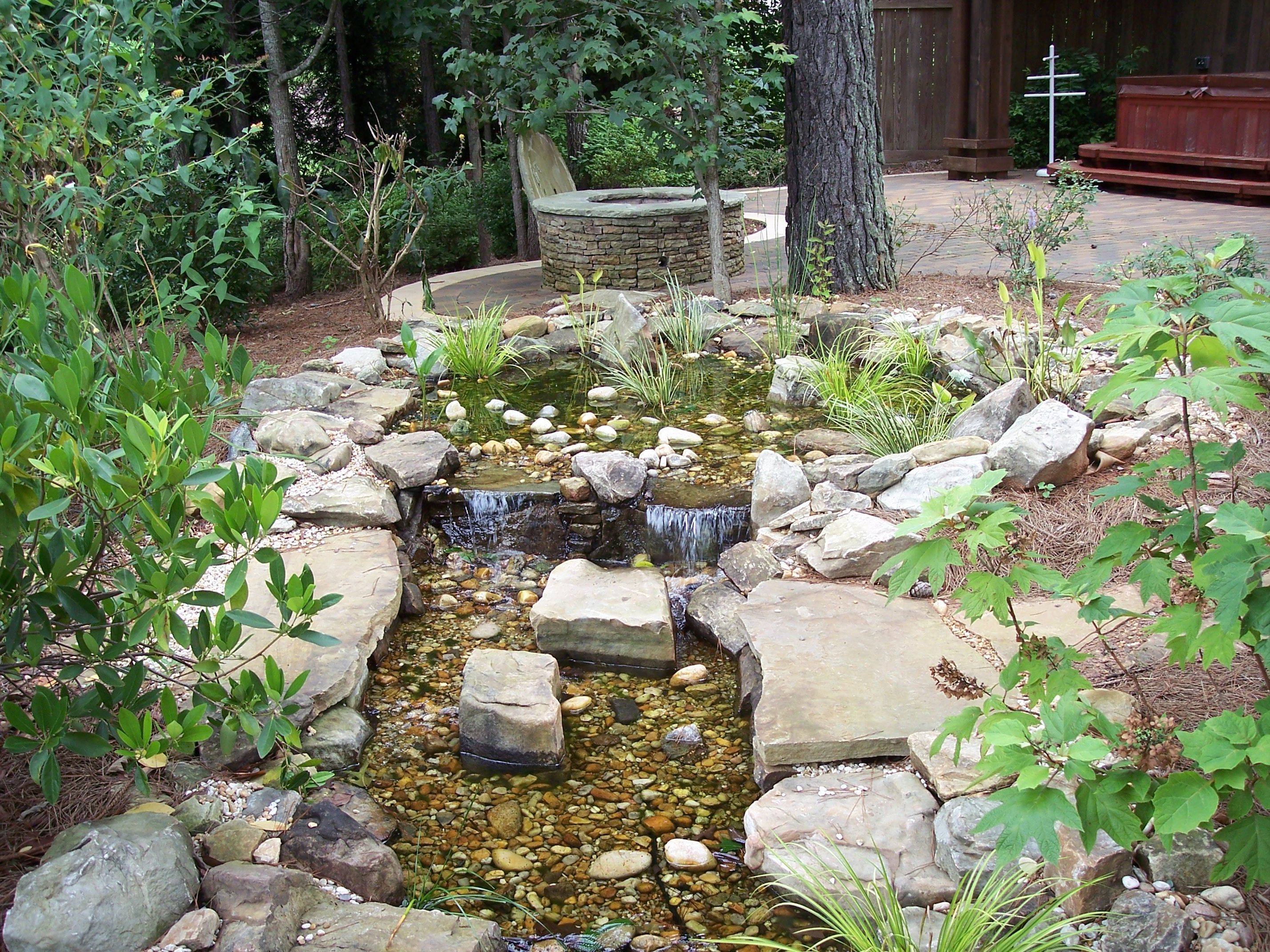 Nybg Pond Landscaping Ideas
