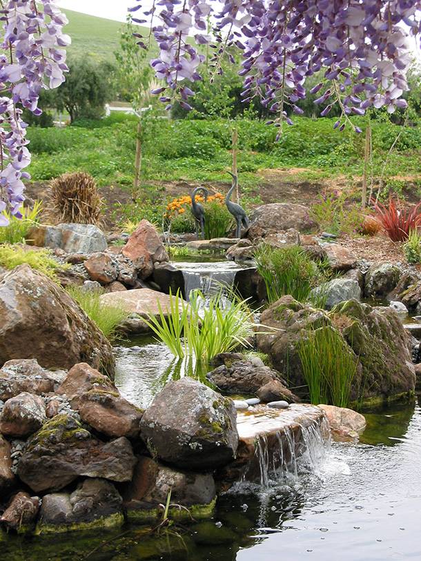 Small Bog Garden