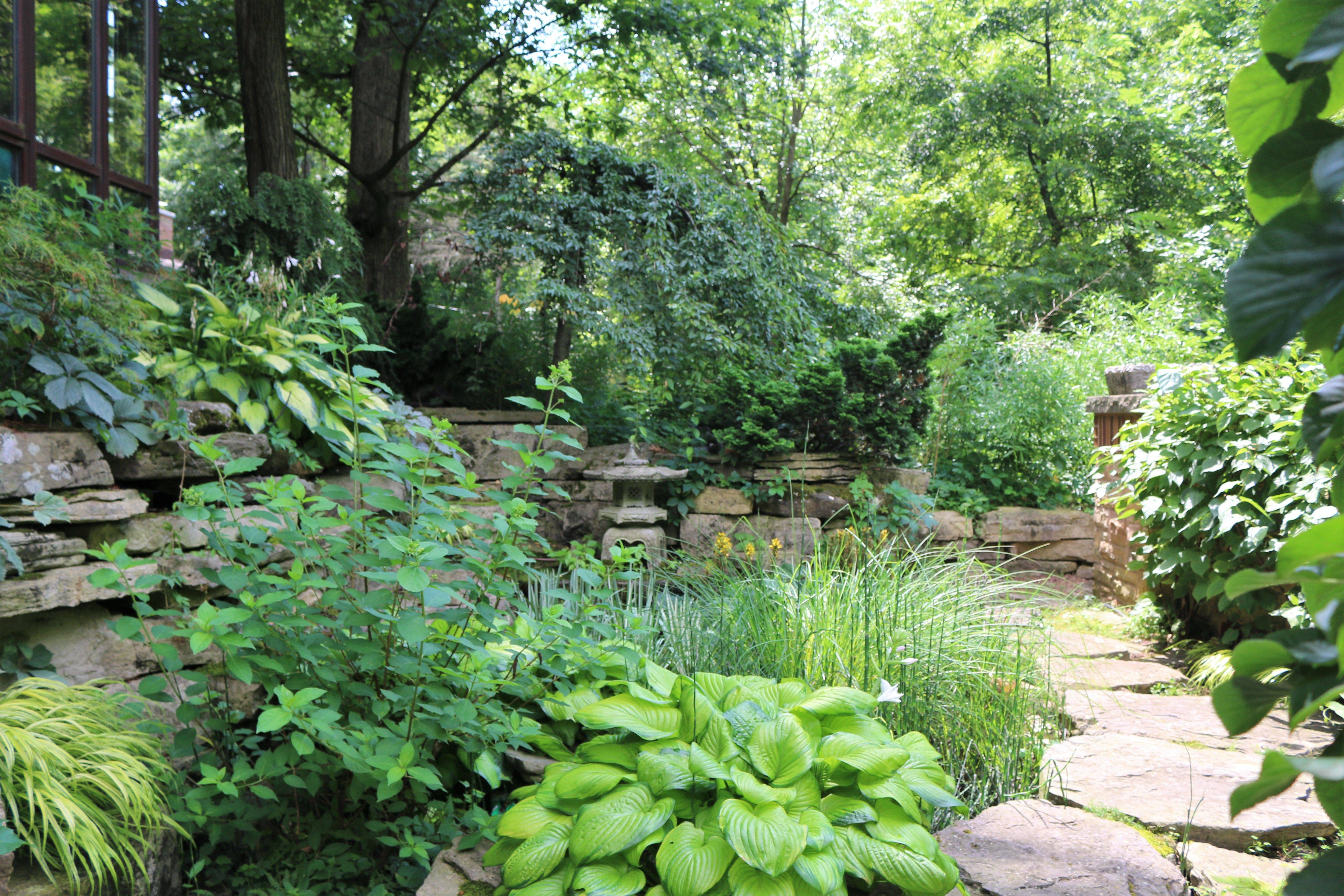 Stream Backyard Water Feature