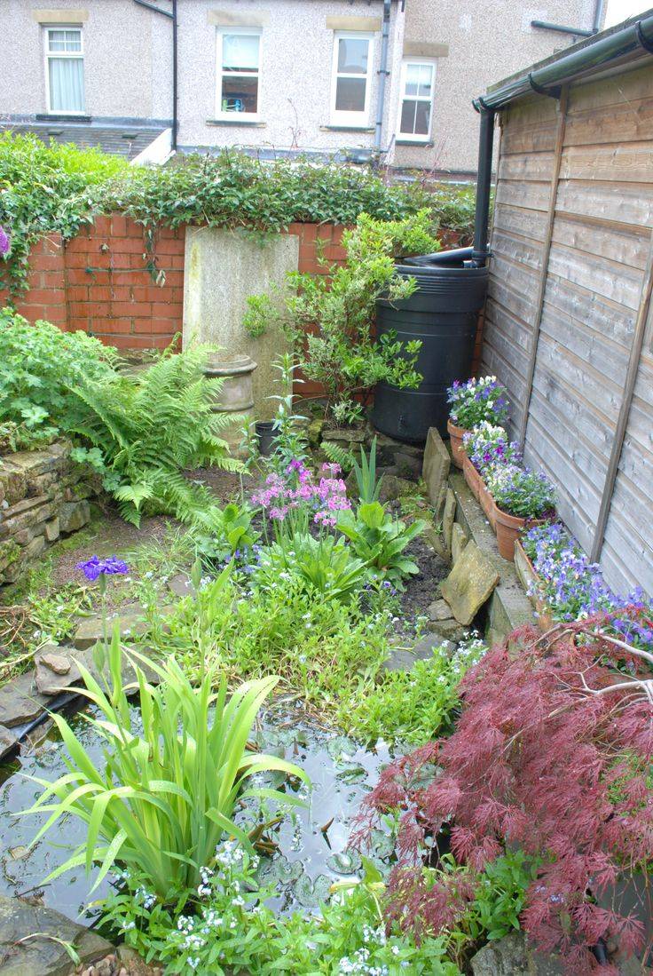 Sunken Bog Garden Bog Garden