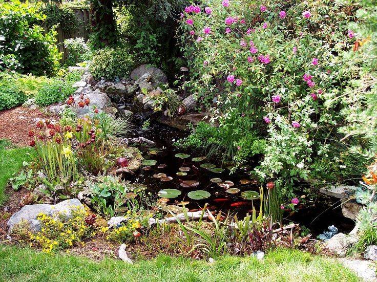 Sunken Bog Garden Bog Garden