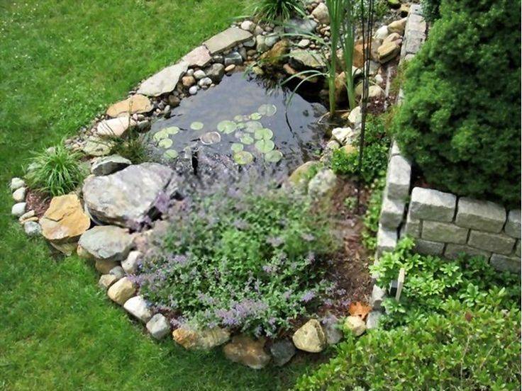The Wetlands Garden Natural Landscaping
