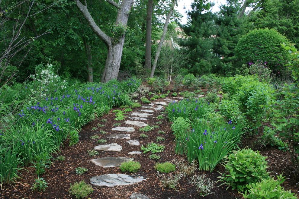 Wetland Southwestern Indiana Master Gardener Association