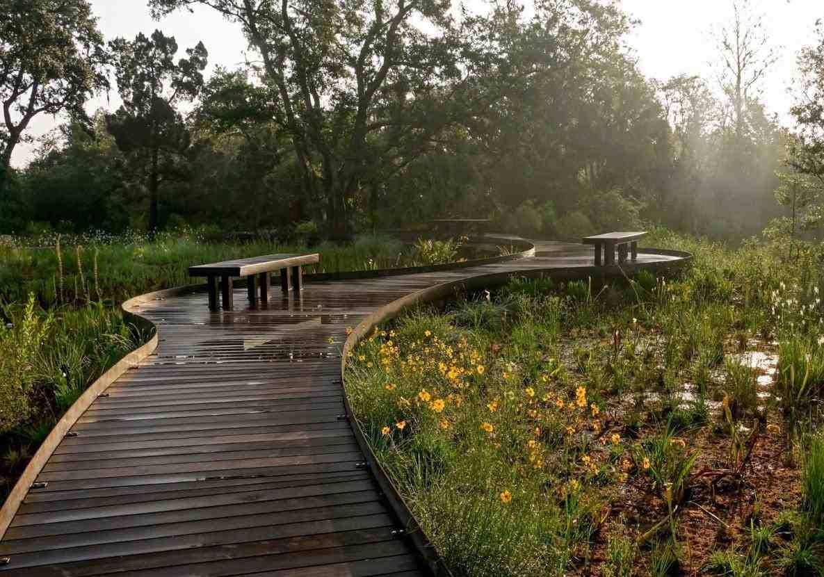 Wetland Systems Santa Cruz