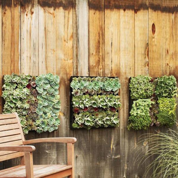 Marvelous Diy Green Living Wall Ideas