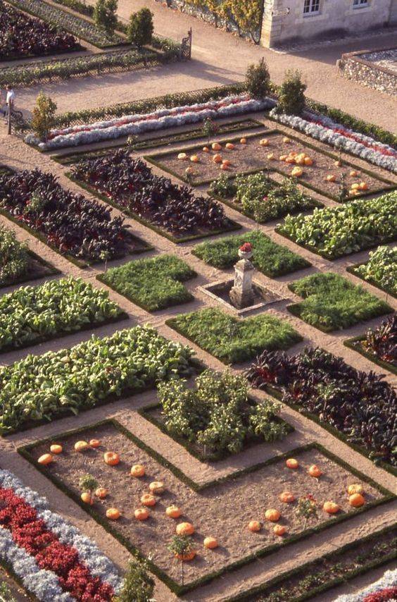 Rainwater Harvesting Green Living