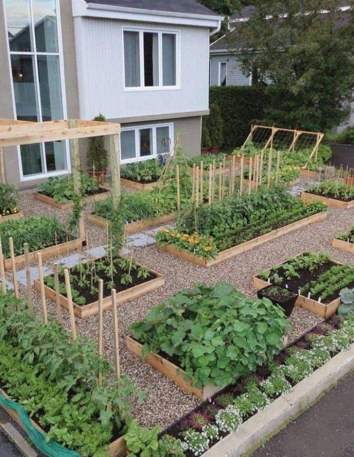Best Vegetable Garden Design Ideas