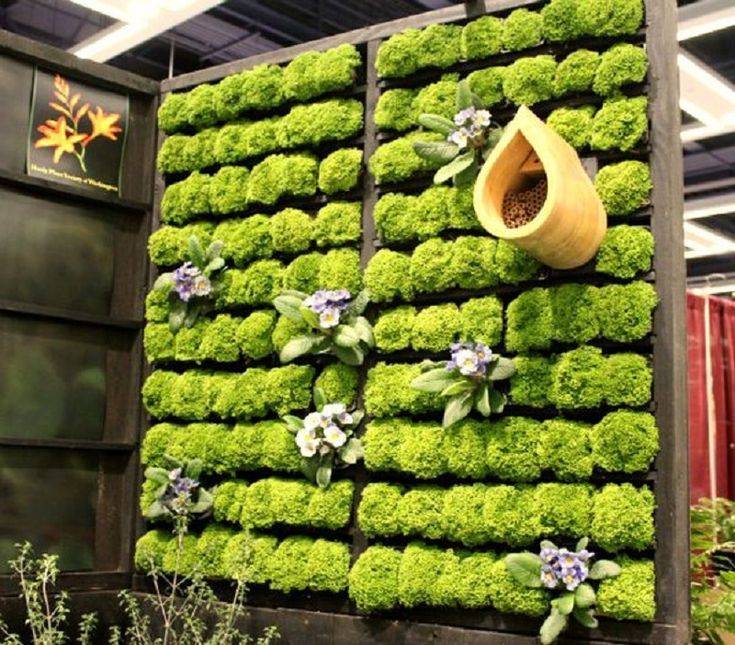 Best Vegetable Garden Design Ideas