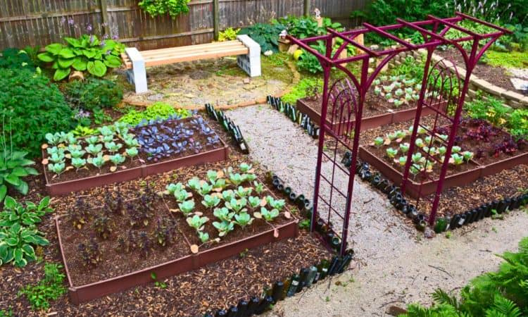 Best Vegetable Garden Design Ideas