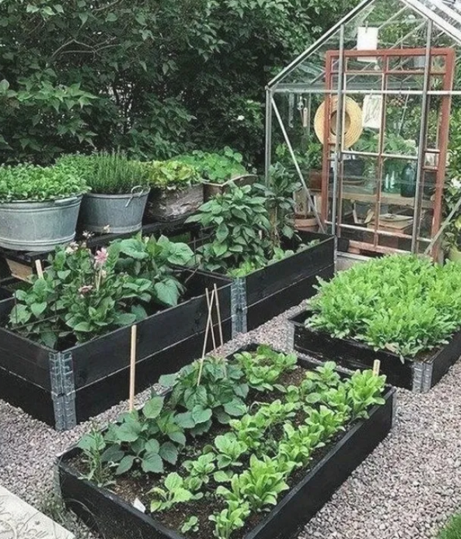 Best Vegetable Garden Design Ideas