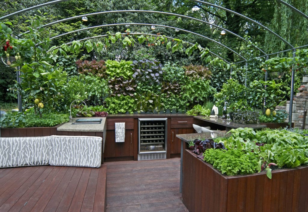 A Vertical Garden