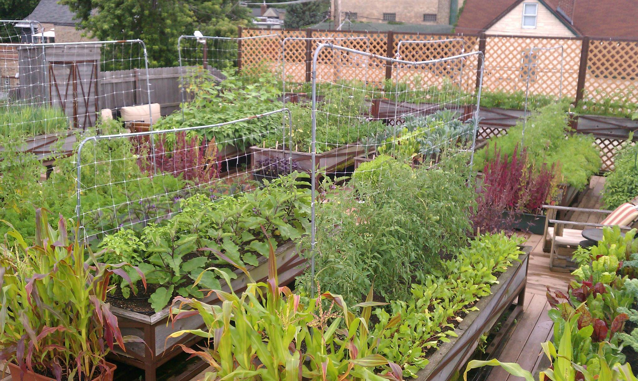 Incredible Vegetable Garden Ideas
