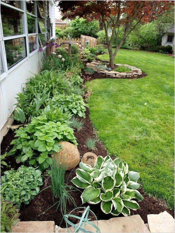 Vegetable Garden