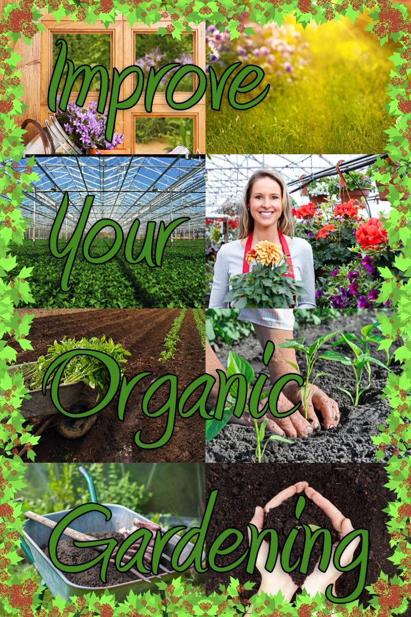 Vegetable Garden Orientation Direction