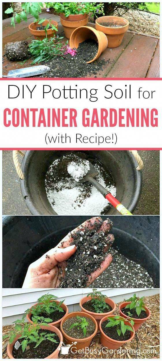 Essential Gardening Fundamentals