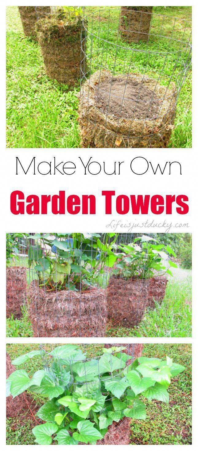 Your Own Vegetables Hornby Garden Designs Vegetable Plants
