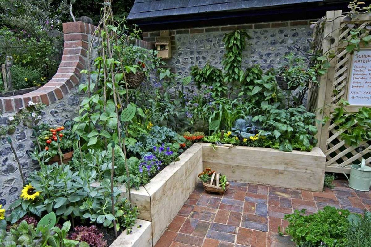 Your Own Small Organic Kitchen Garden