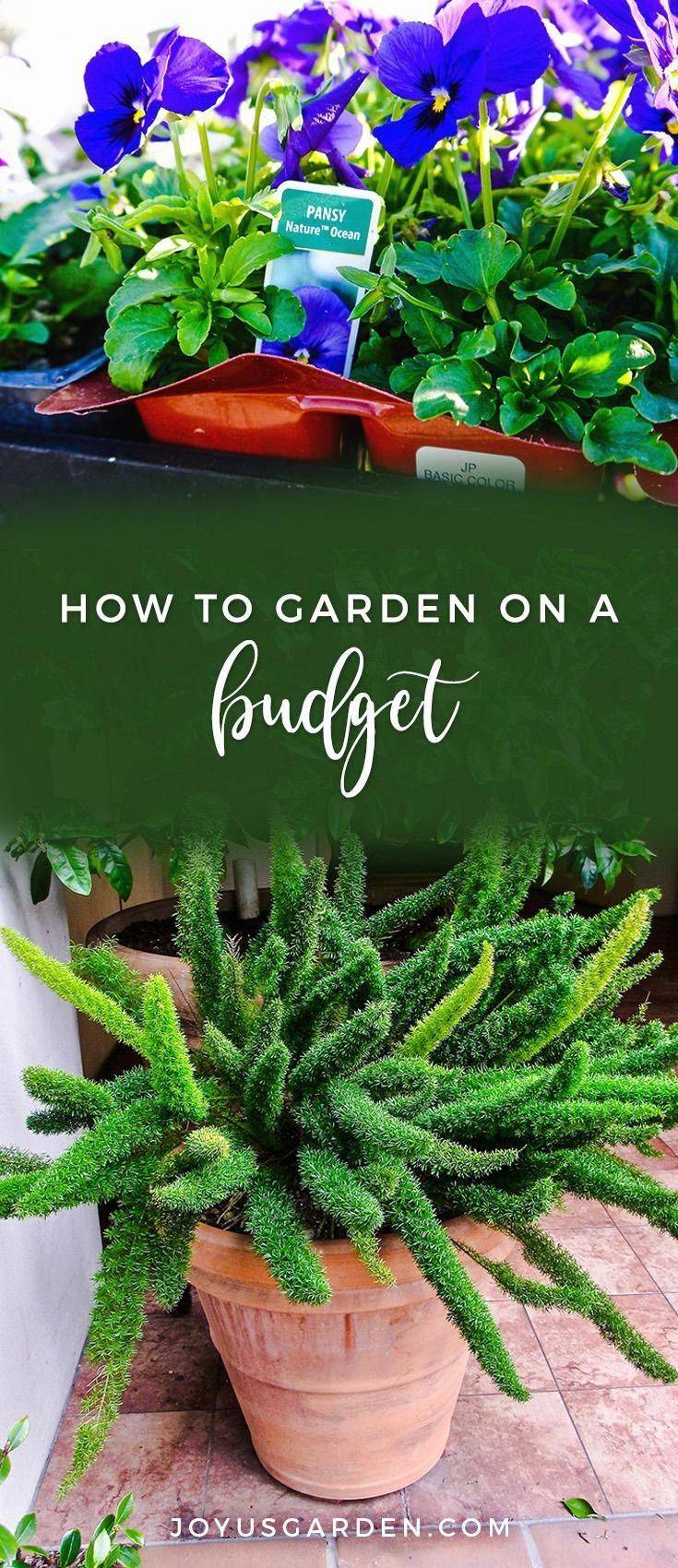 Your Own Veggie Patch Southern Living