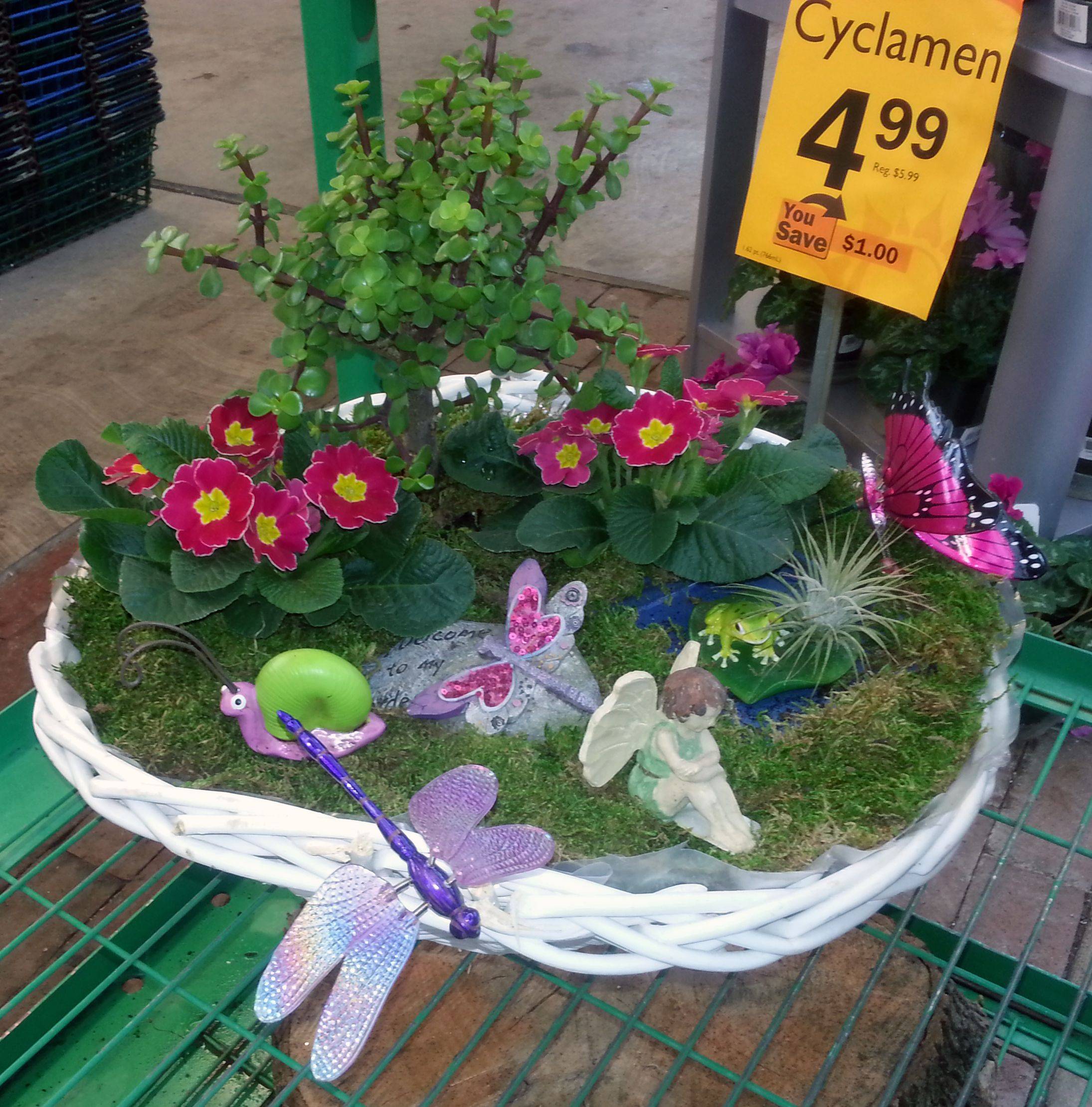 Your Own Fairy Garden