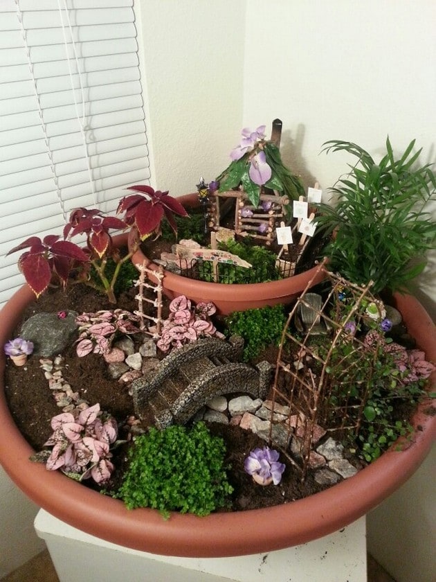 Diy Fairy Gardens