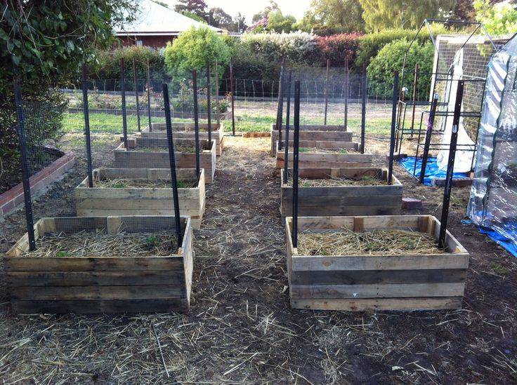 Your Own Elevated Planter Box