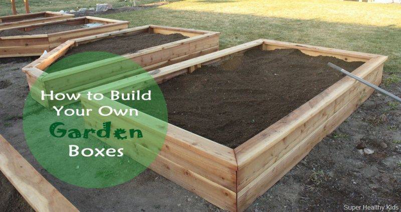 Tomato Pallet Planter Boxes