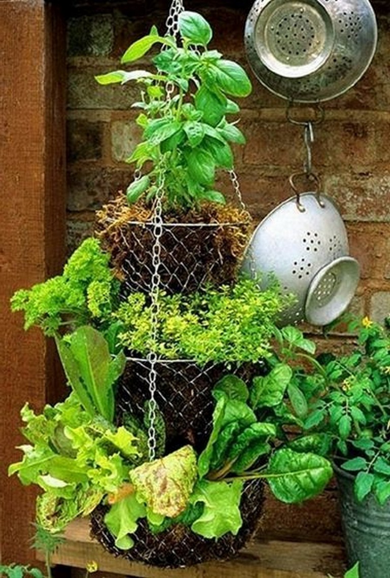 Indoor Herb Garden Diy Ideas