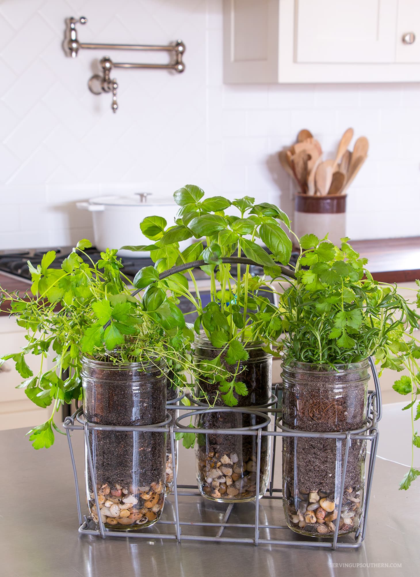 Indoor Herb Garden Ideas Creative Juice