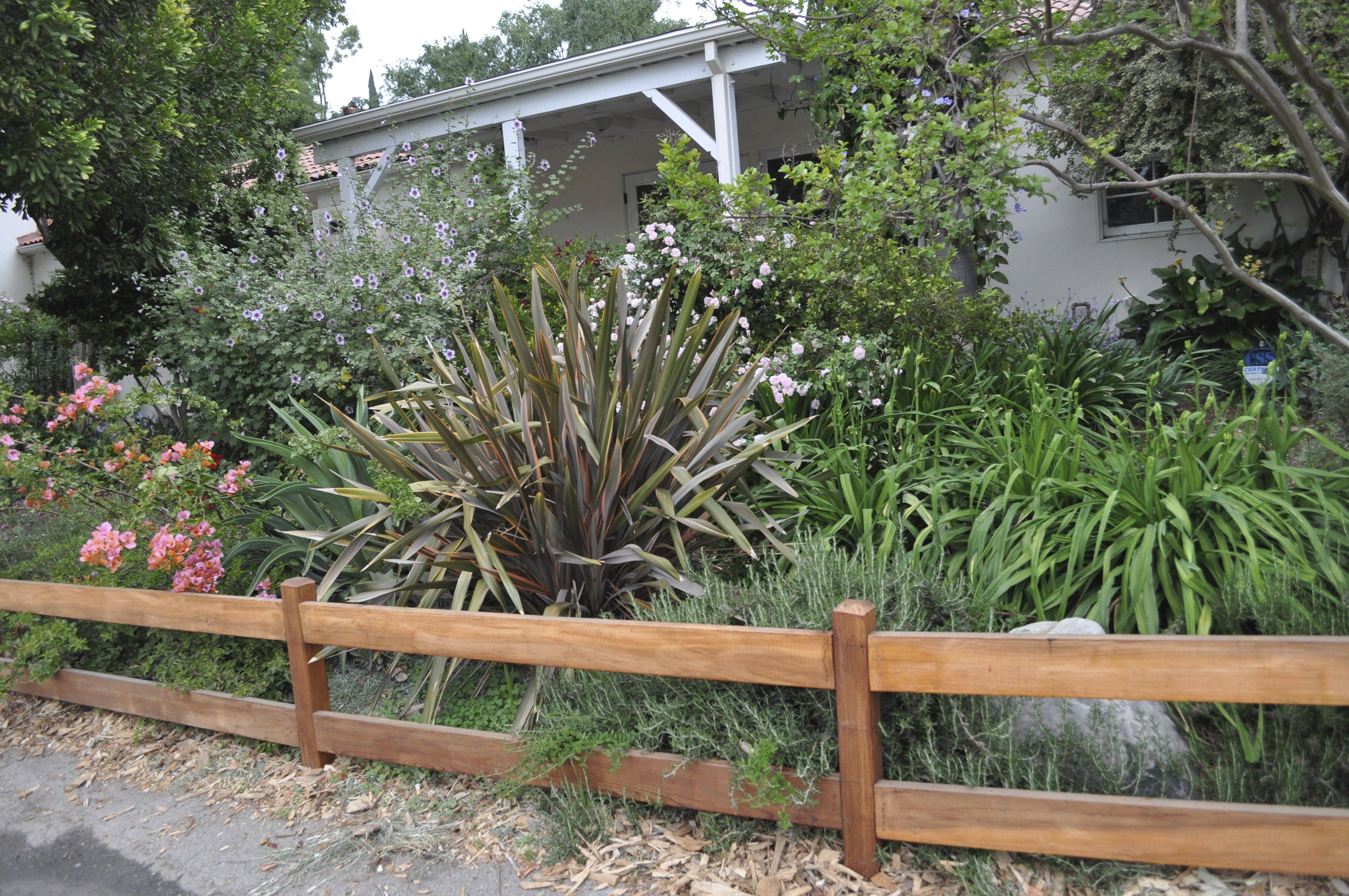 A Terraced Backyard Vegetable Garden