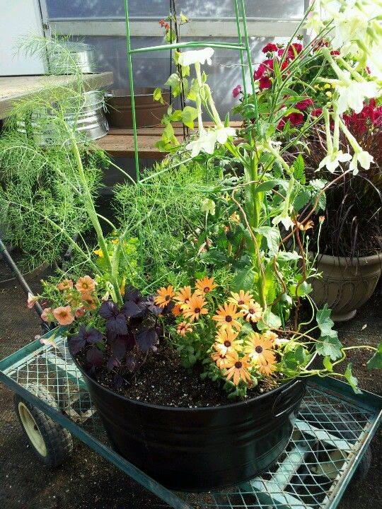 Gardening Tips