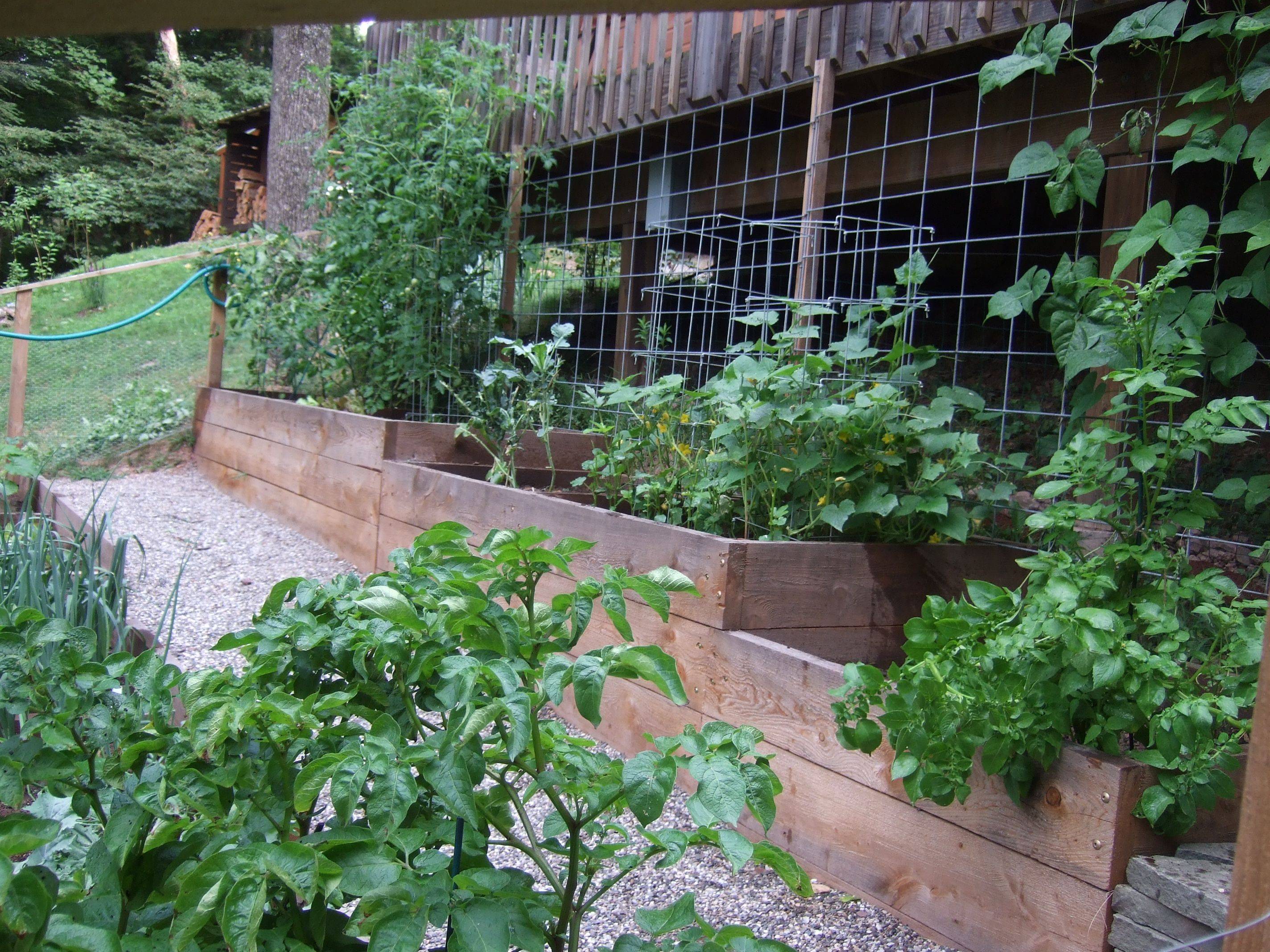 Dirt Diva Designs Los Angeles Landscaping Drought Resistant