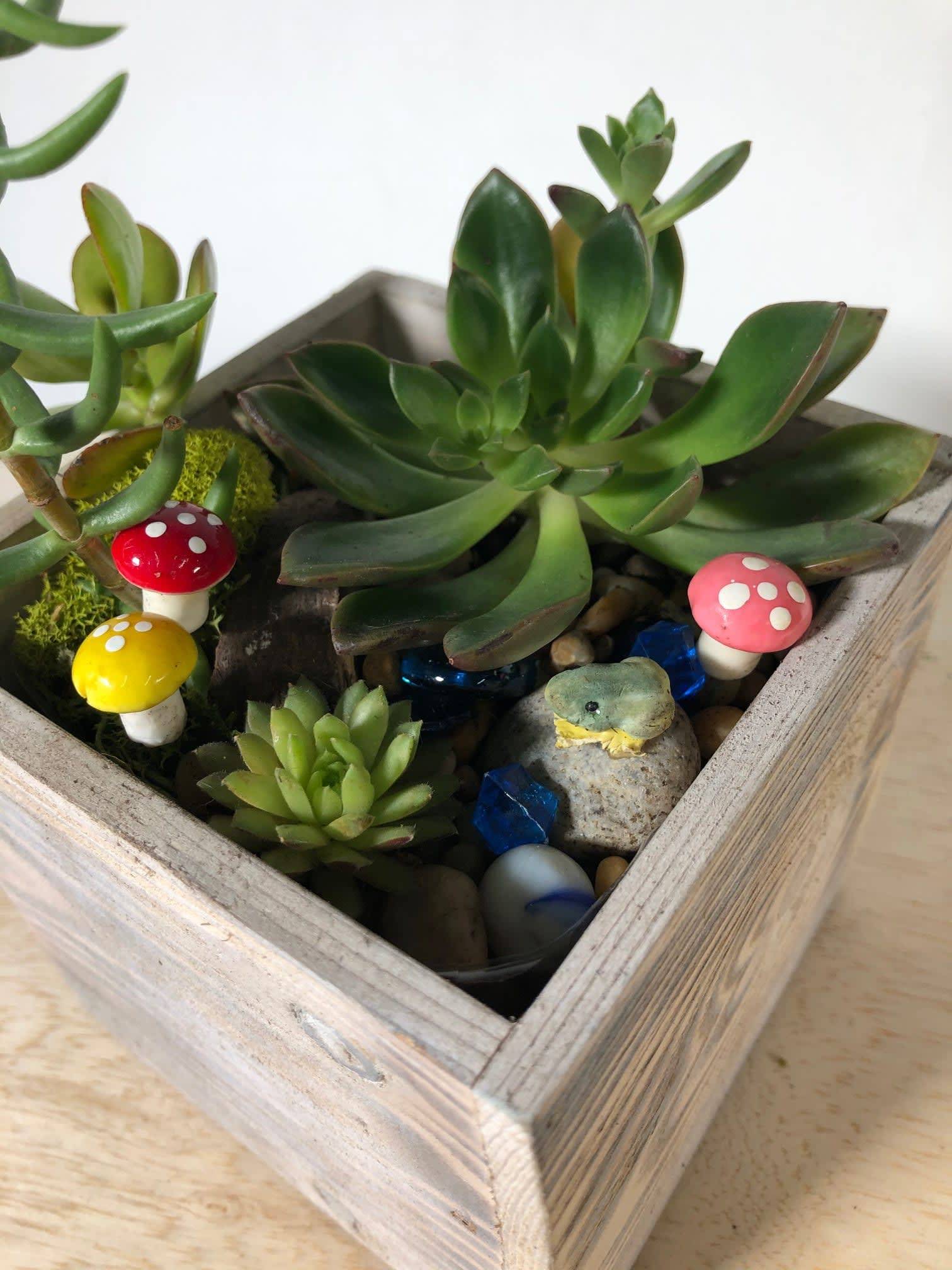 Dirt Diva Designs Studio City