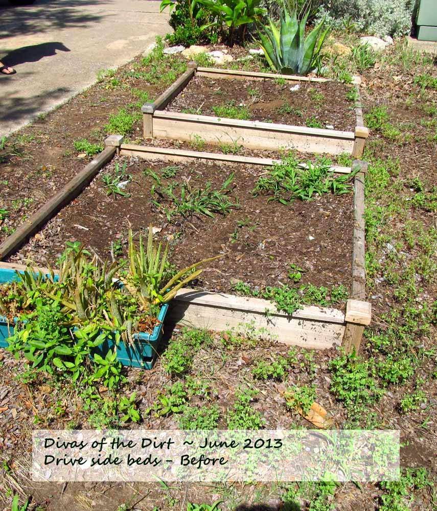 The Backyard Divas Site