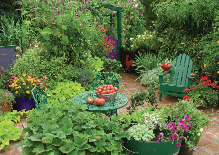 Newly Built And Compost Filled Beds