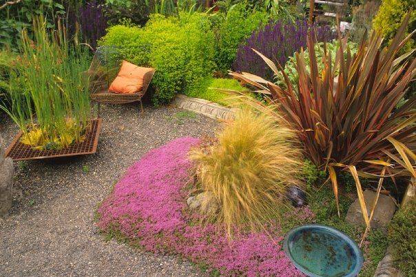 Vegetable Gardens