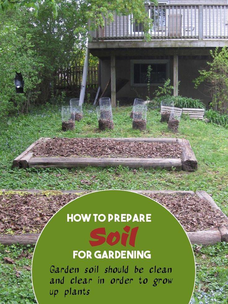 Vegetable Garden Soil