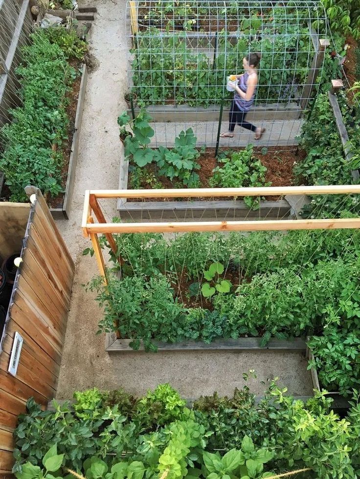Our Backyard Project