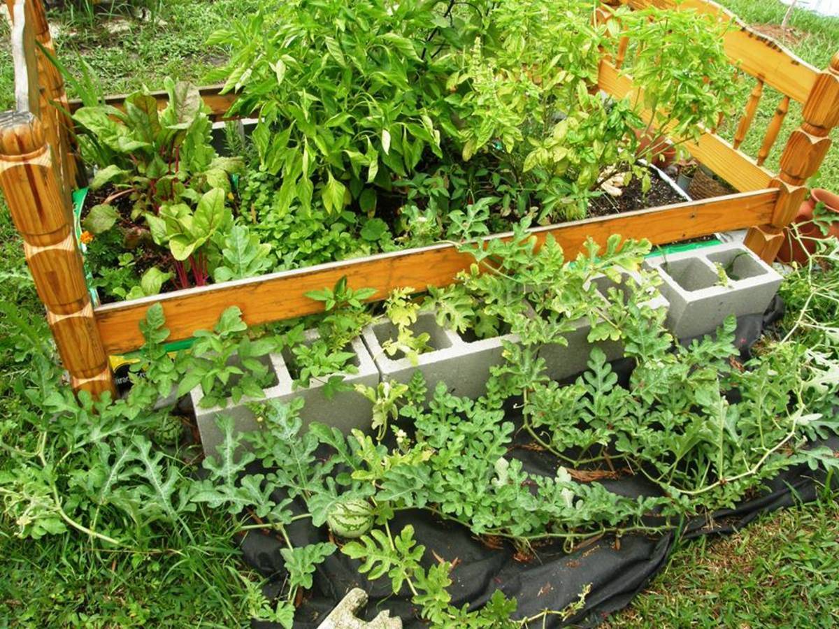 Outdoor Garden Products Bespoke Garden