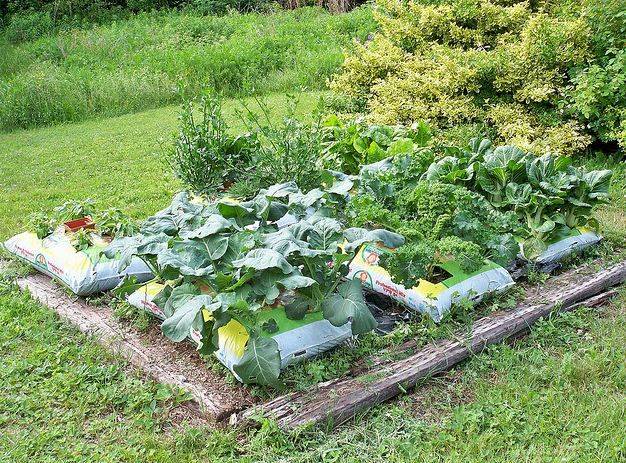 Screened Organic Veg Soil Ton Bag